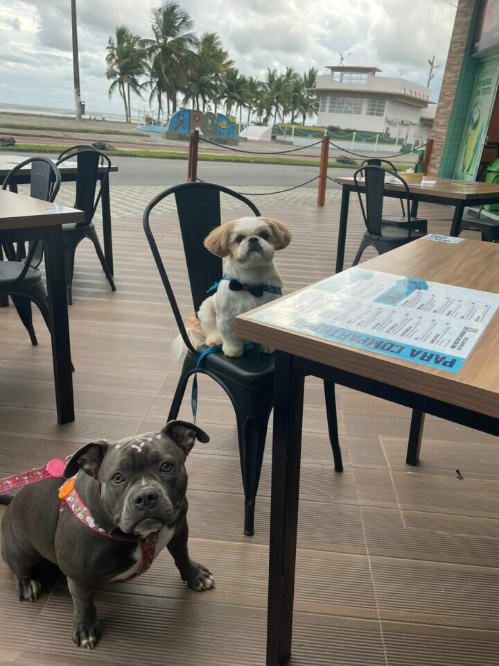Netuno Bar e Restaurante