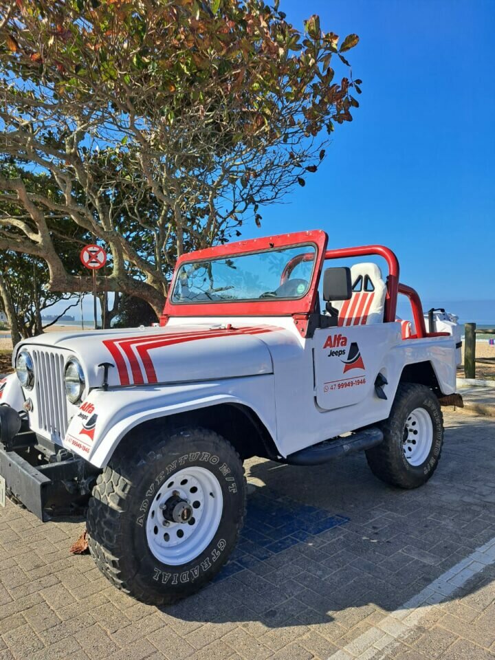 Locadora de jeeps com 3 veículos
