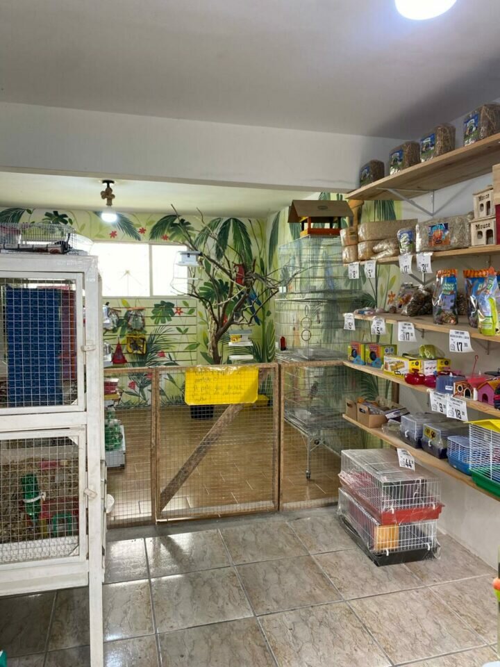 Agropecuaria/Casa de ração/Aviario a venda