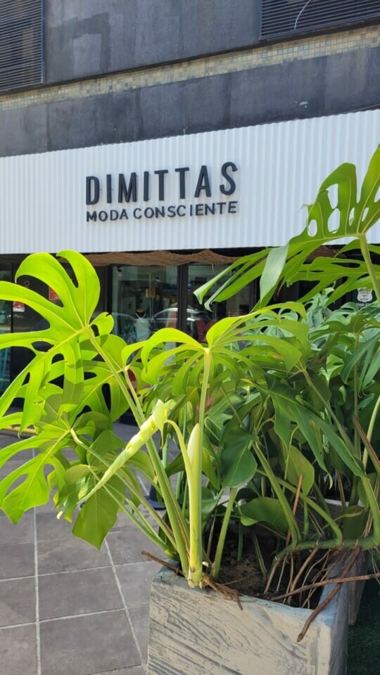 Outlet e Brechó Premium em ponto nobre de Porto Alegre