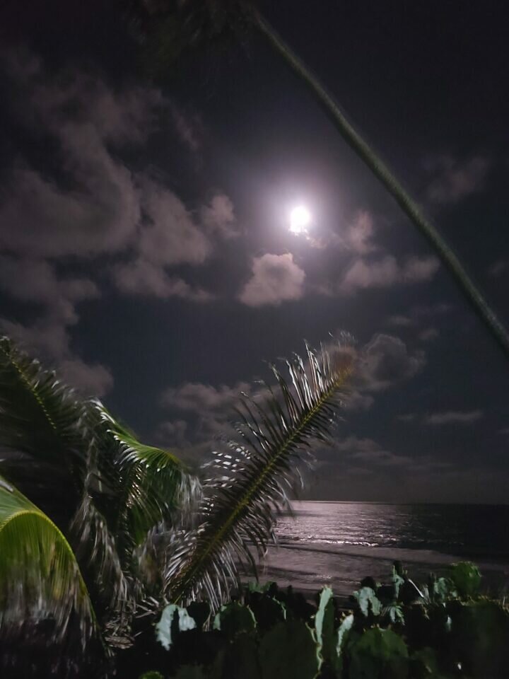 Venda propriedade frente mar