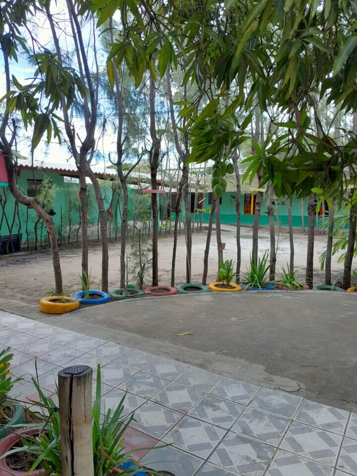 Oportunidade de Investimento Adquira uma Escola Estabelecida