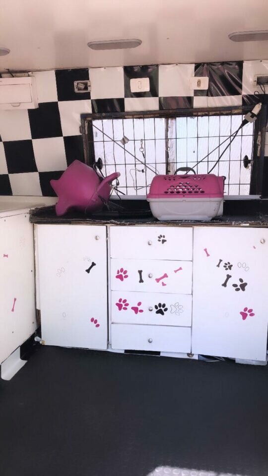 Van Adaptada para Pet Shop
