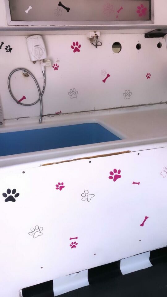 Van Adaptada para Pet Shop