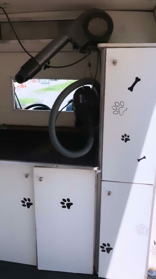 Van Adaptada para Pet Shop