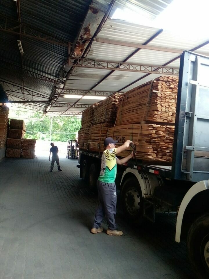Indústria de embalagens de madeira, caixas e pallets