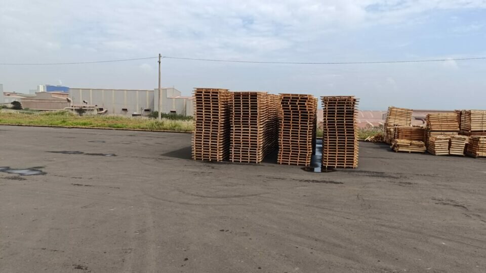 Indústria de embalagens de madeira, caixas e pallets