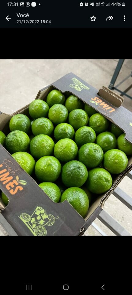 EMPRESA DE EXPORTACAO DE FRUTAS E LEGUMES