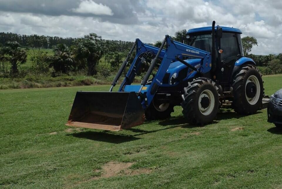 Grameira em Lucas do Rio Verde