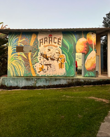 Cervejaria Artesanal – Fábrica  Terreno 5 mil m2  Casa/Restaurante