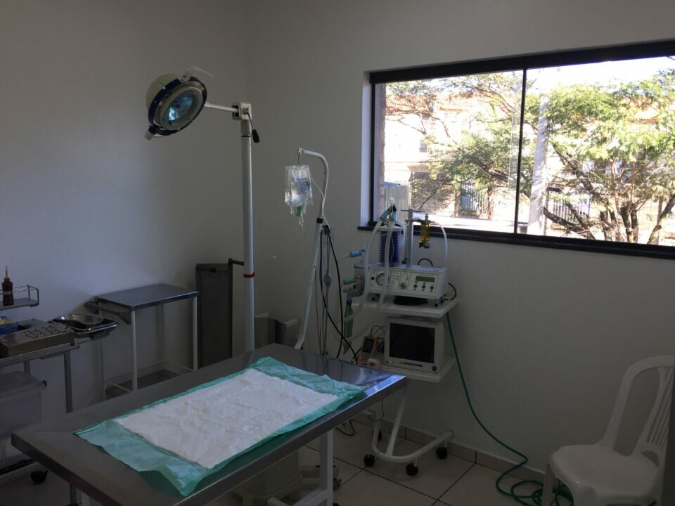 Clínica Veterinária e Pet Shop, Pronta para você