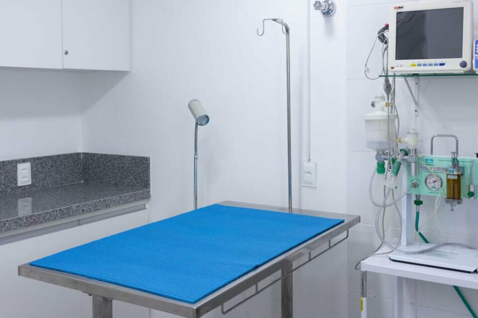 Clínica Veterinária