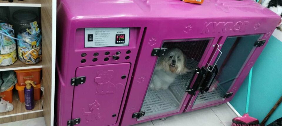 RENTÁVEL E BEM ESTRUTURADO PET SHOP-RM CURITIBA/PR
