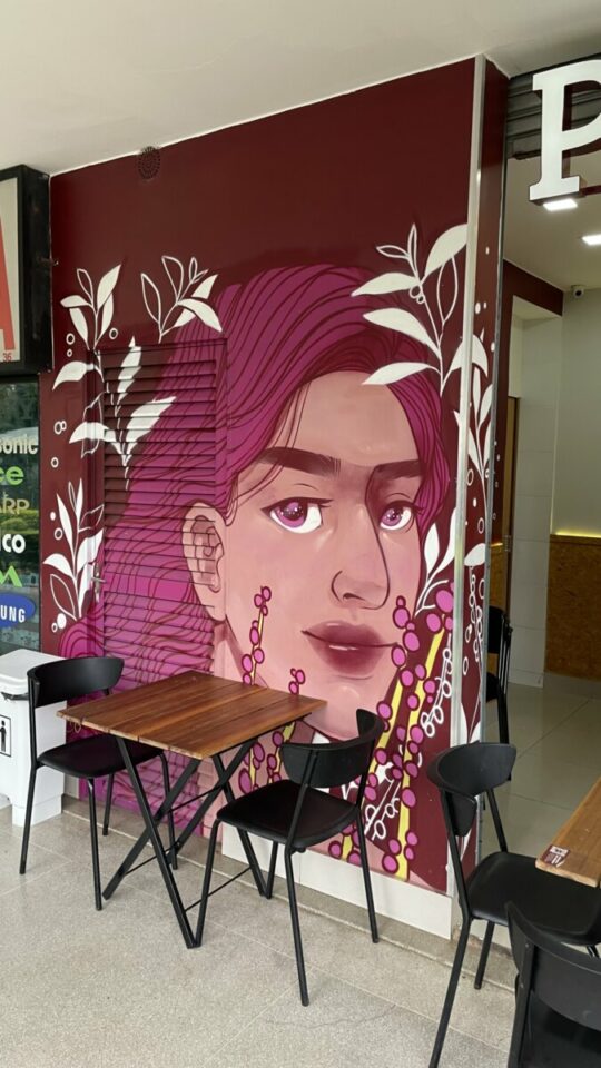 Repasse de Franquia do Açai Purissimo – DF