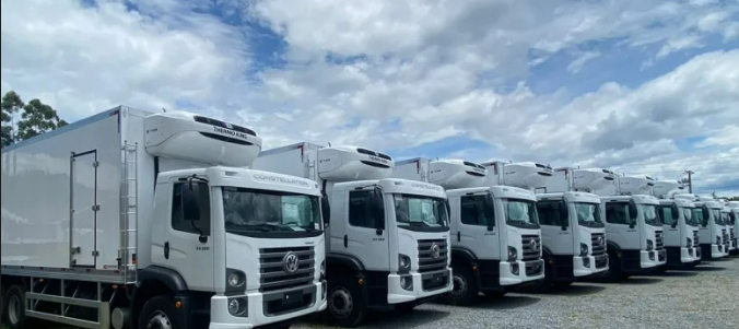Transportadora de Cargas refrigeradas Oportunidade
