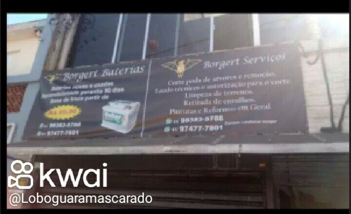 Borgert serviços gerais poda de arvores limpeza de terrenos