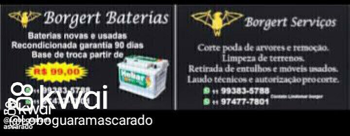 Borgert serviços gerais poda de arvores limpeza de terrenos