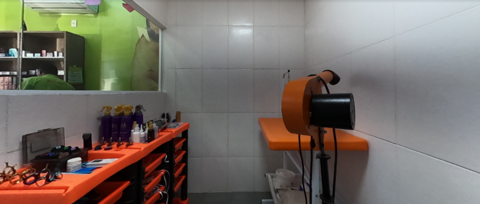 Oportunidade de Ouro Pet Shop montado Clientes Consolidados