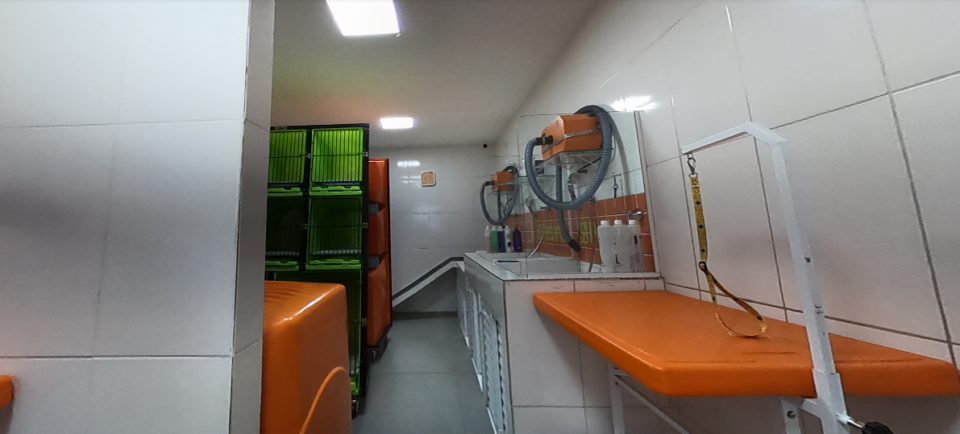 Oportunidade de Ouro Pet Shop montado Clientes Consolidados