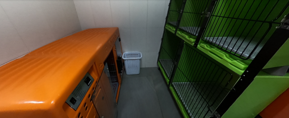 Oportunidade de Ouro Pet Shop montado Clientes Consolidados