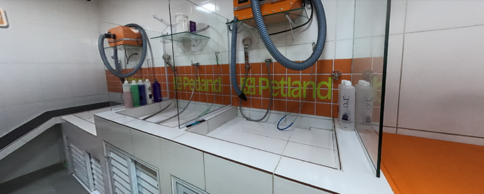 Oportunidade de Ouro Pet Shop montado Clientes Consolidados