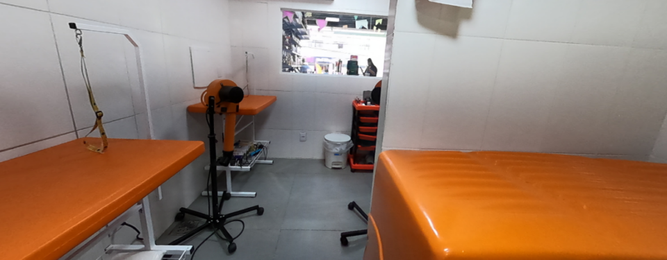 Oportunidade de Ouro Pet Shop montado Clientes Consolidados