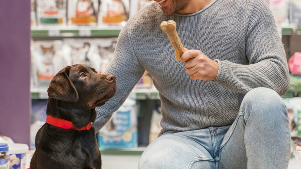 Clínica / Creche / Pet Shop / Estética à Venda – Zona Sul de POA/RS