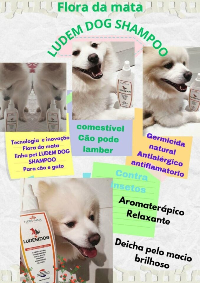 FANTÁSTICA INDÚSTRIA INOVADORA DE DERMOCOSMÉTICOS E AFINS-INTERIOR DE GO