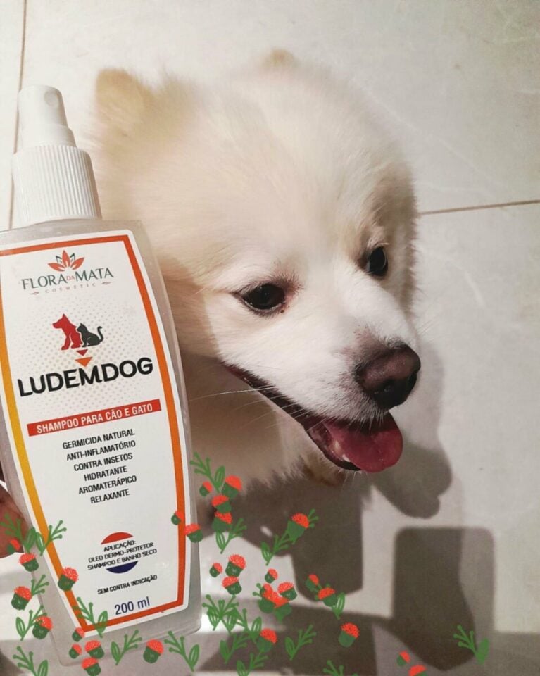 FANTÁSTICA INDÚSTRIA INOVADORA DE DERMOCOSMÉTICOS E AFINS-INTERIOR DE GO