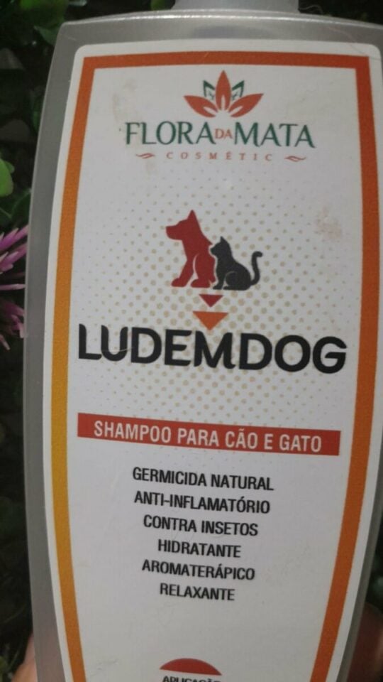 FANTÁSTICA INDÚSTRIA INOVADORA DE DERMOCOSMÉTICOS E AFINS-INTERIOR DE GO