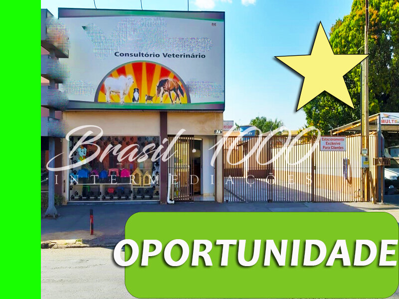 Pet shop  Clinica em Cassilândia, MS Cod 105549