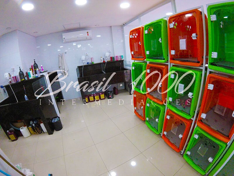 Pet Shop em Pirituba, SP Cod 111286