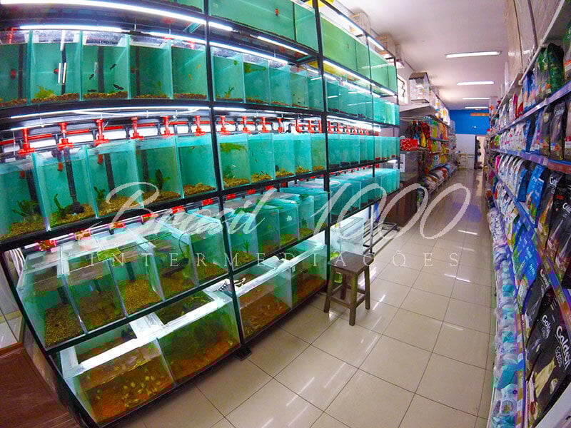 Pet Shop em Guarulhos, SP Cod 112043