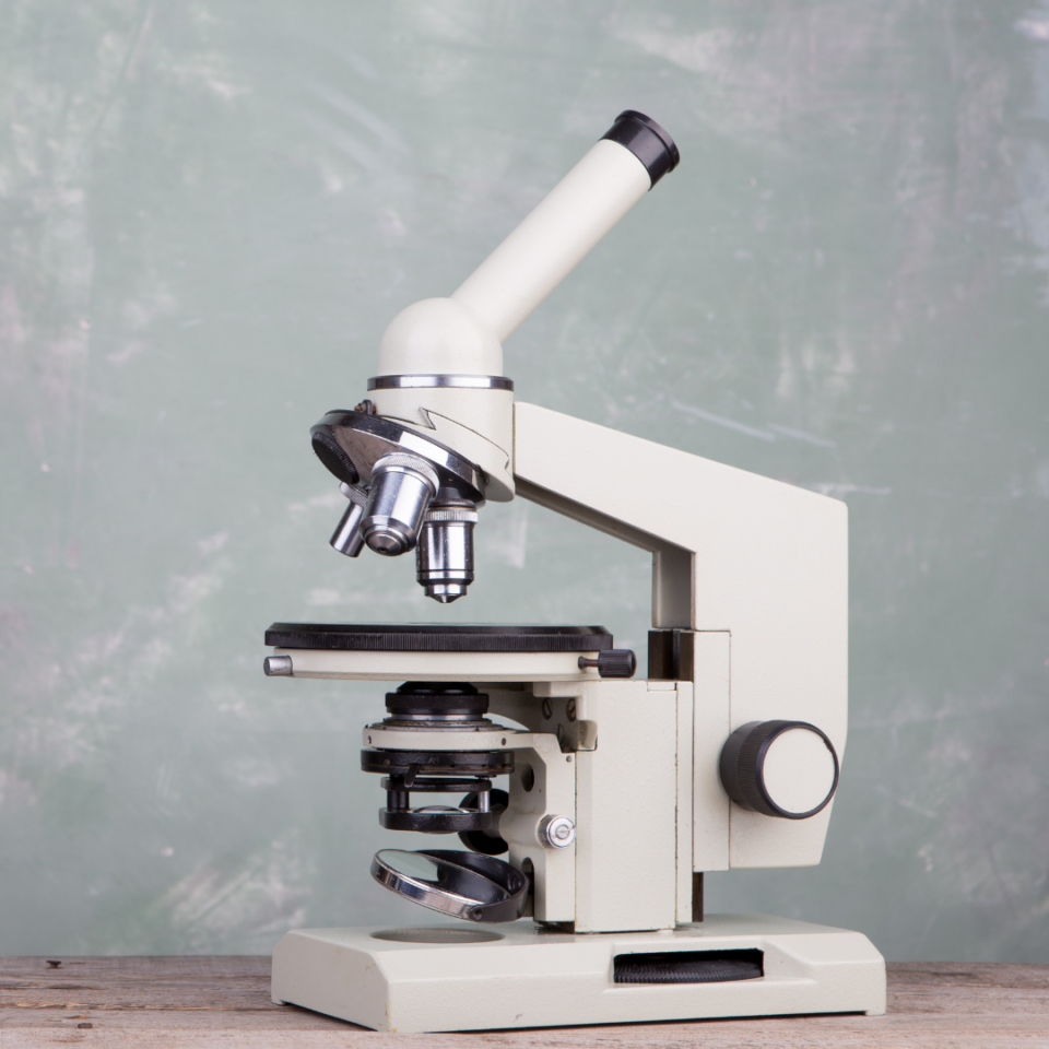 Importação e varejo de microscópios