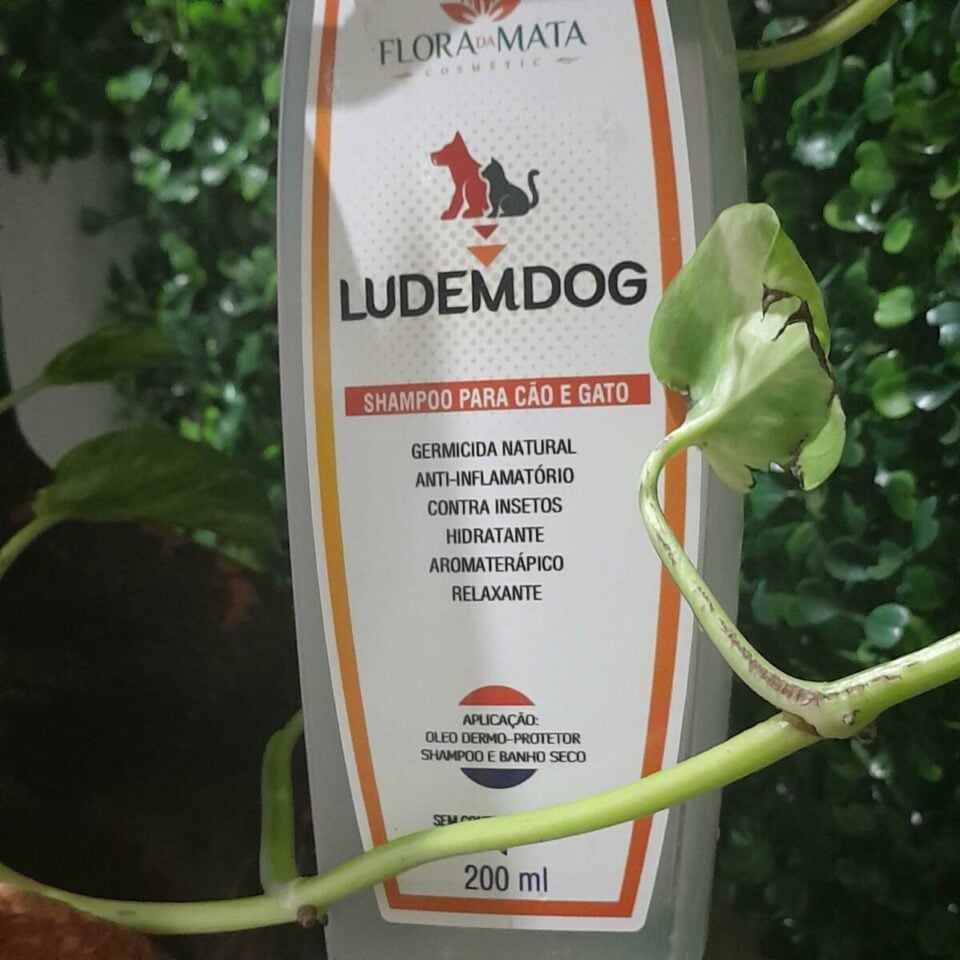 FANTÁSTICA INDÚSTRIA INOVADORA DE DERMOCOSMÉTICOS E AFINS-INTERIOR DE GO