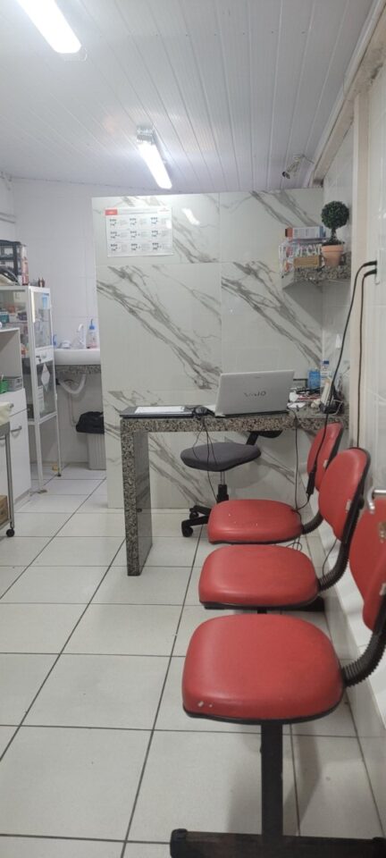 Pet Shop Palhoça SC