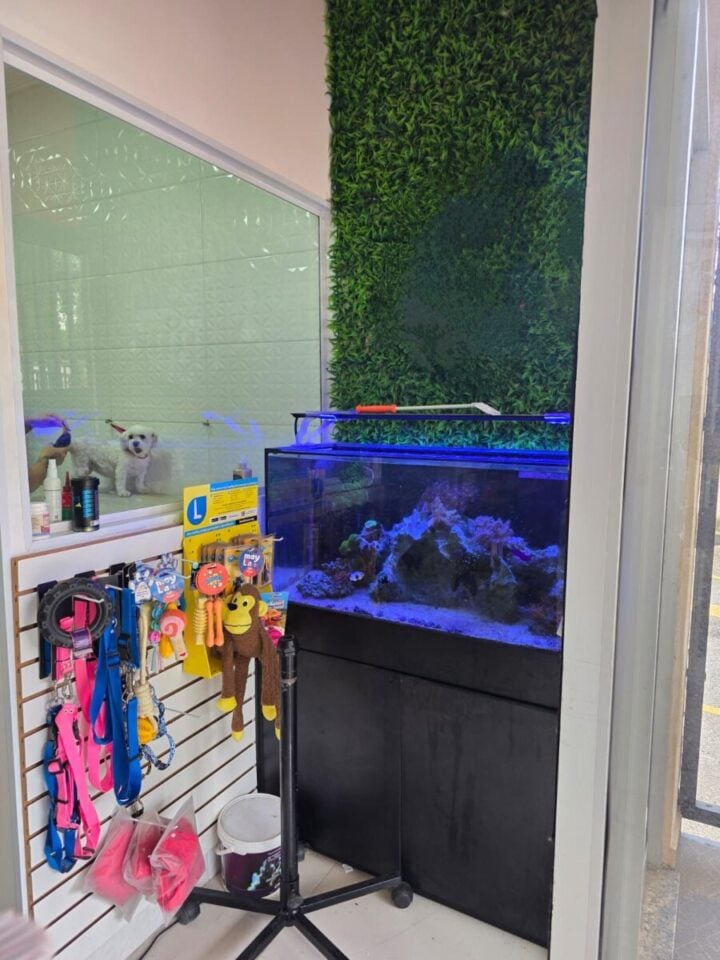OPORTUNIDADE  PET SHOP BANHO E TOSA DENTRO CENTRO COMERCIAL Z/L