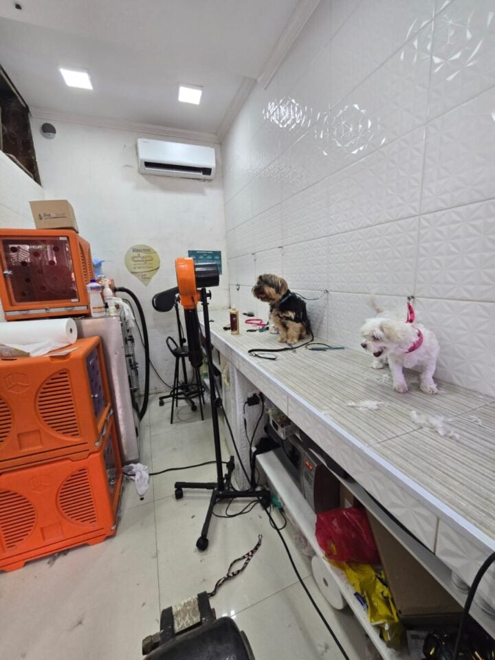 OPORTUNIDADE  PET SHOP BANHO E TOSA DENTRO CENTRO COMERCIAL Z/L