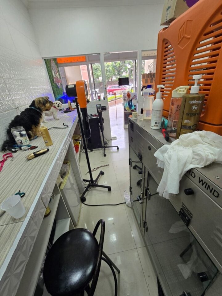OPORTUNIDADE  PET SHOP BANHO E TOSA DENTRO CENTRO COMERCIAL Z/L
