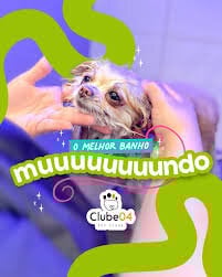 REPASSE –  PET CLUB04 – RIBEIRÃO PRETO/SP – O mercado de maior ascensão