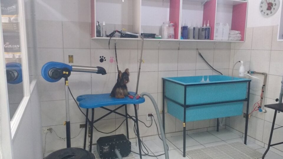 PET SHOP – BANHO  TOSA – CENTRO DE SÃO ROQUE SP – DESDE 2014
