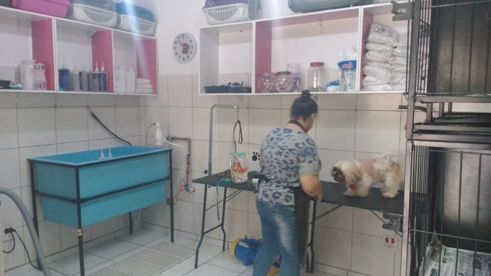 PET SHOP – BANHO  TOSA – CENTRO DE SÃO ROQUE SP – DESDE 2014