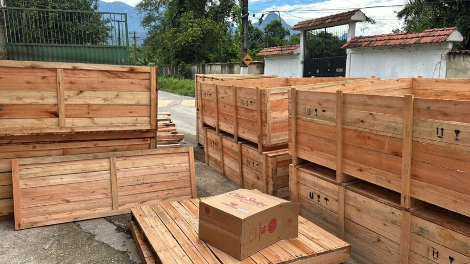 Caixas e Embalagens de Madeira Fumigada