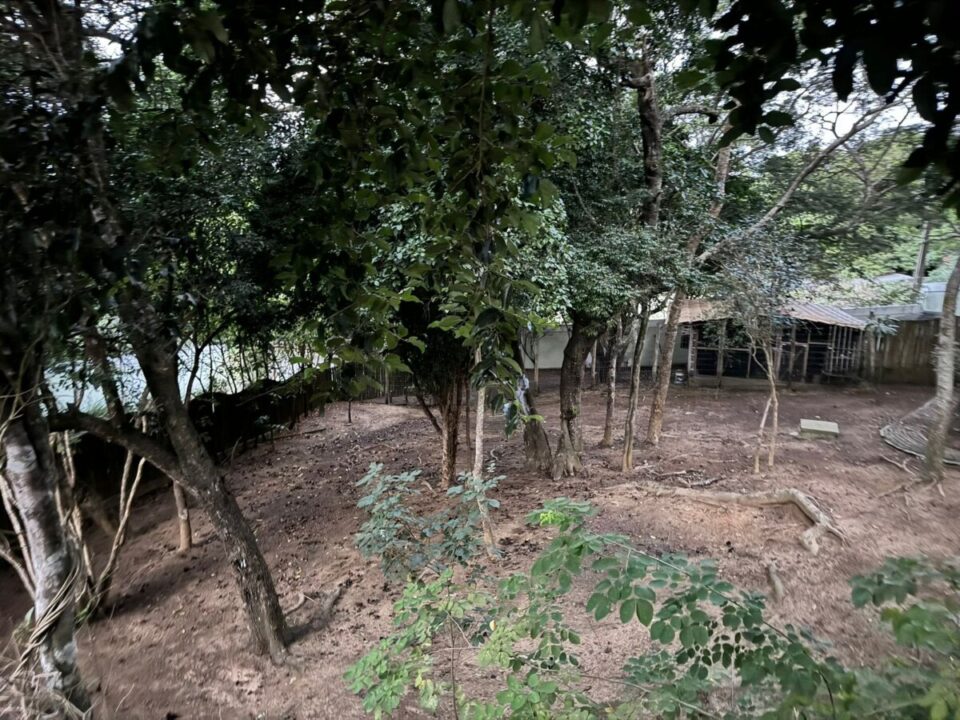 Armação de Búzios, Casa com 6 quartos e 400 m² à venda