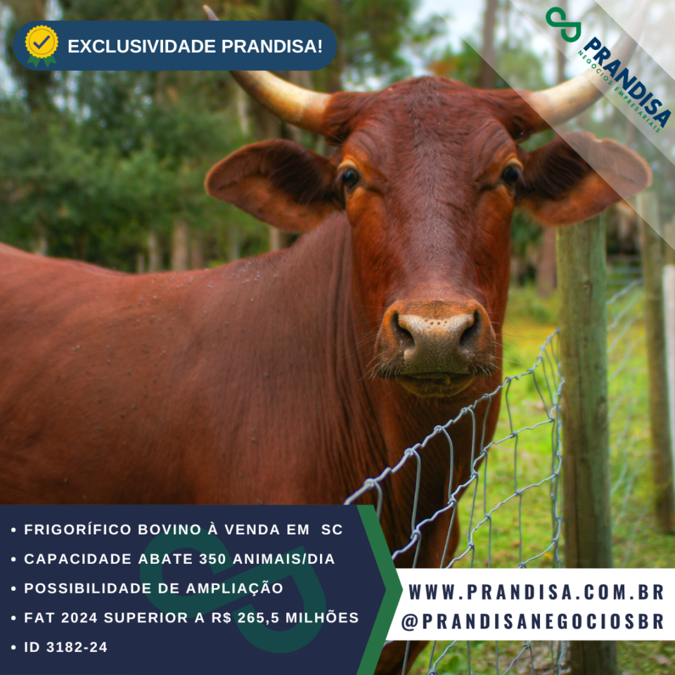 7383 Frigorífico e abatedouro bovino a venda em Santa Catarina