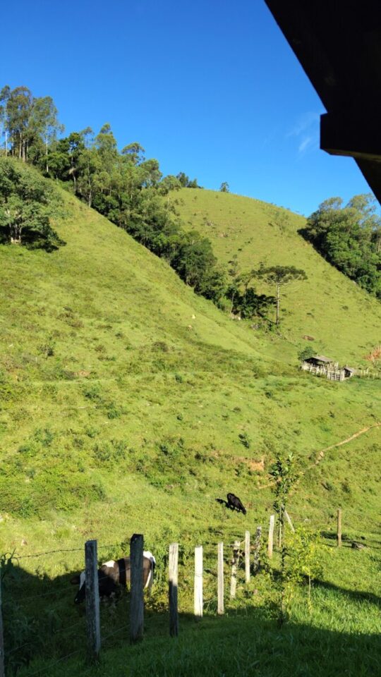 Locação de área rural para instalação de painel solar , somente da Elektro