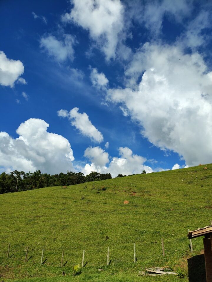 Locação de área rural para instalação de painel solar , somente da Elektro