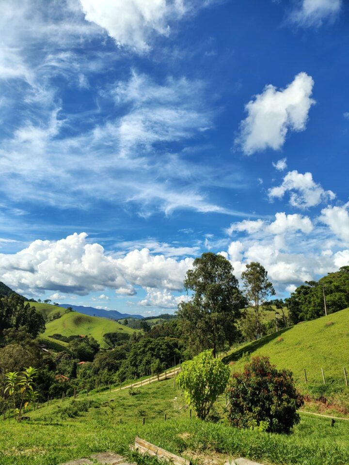 Locação de área rural para instalação de painel solar , somente da Elektro