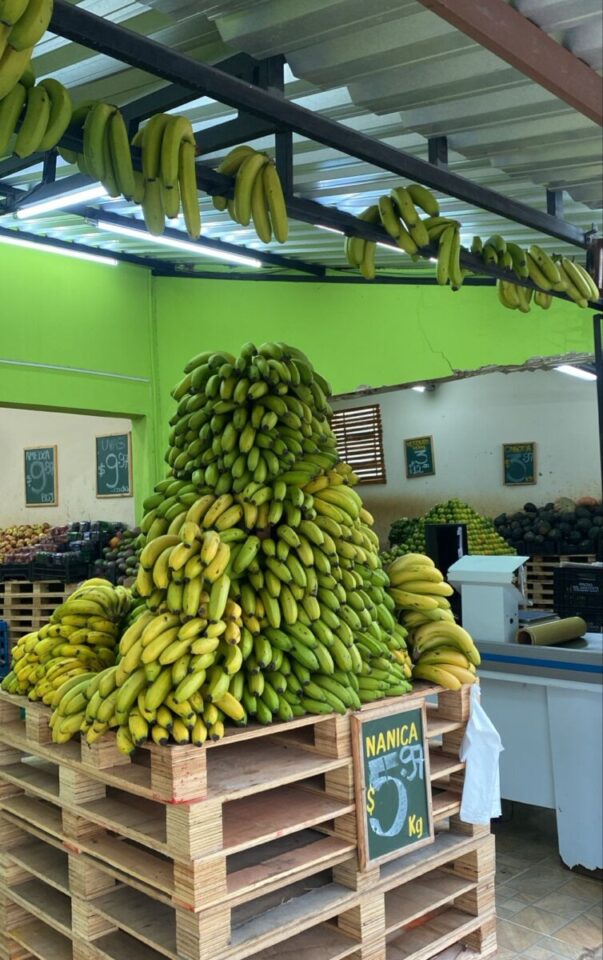 Vendo rede de lojas de hortifruti em valinhos sp