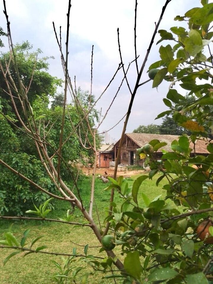 CHÁCARA URBANA / TERRENO com 5859 m² de  em Ponta Grossa, PR